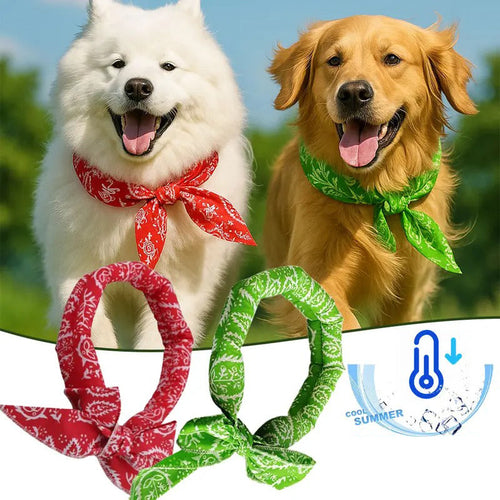 BUY 3 GET 2🎀PipPaw™ Cooling Collar – Summer Relief for Dogs & Cats 🌞❄️  Vet-Safe • Reusable • No Freezer Needed • Made for British Heatwaves!
