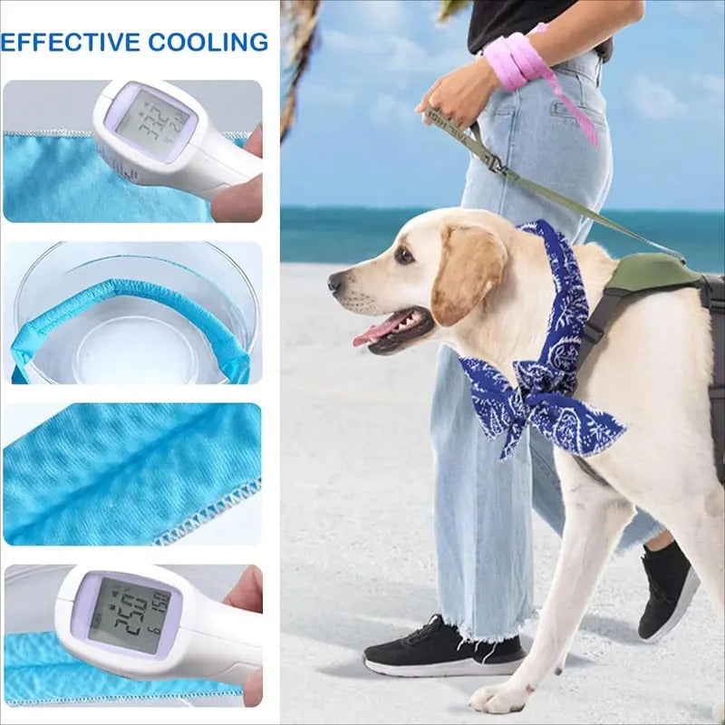 BUY 3 GET 2🎀PipPaw™ Cooling Collar – Summer Relief for Dogs & Cats 🌞❄️  Vet-Safe • Reusable • No Freezer Needed • Made for British Heatwaves!