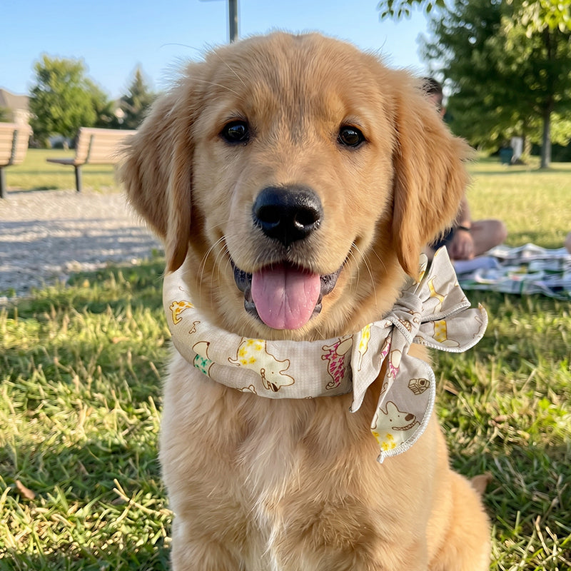 BUY 3 GET 2🎀PipPaw™ Cooling Collar – Summer Relief for Dogs & Cats 🌞❄️  Vet-Safe • Reusable • No Freezer Needed • Made for British Heatwaves!